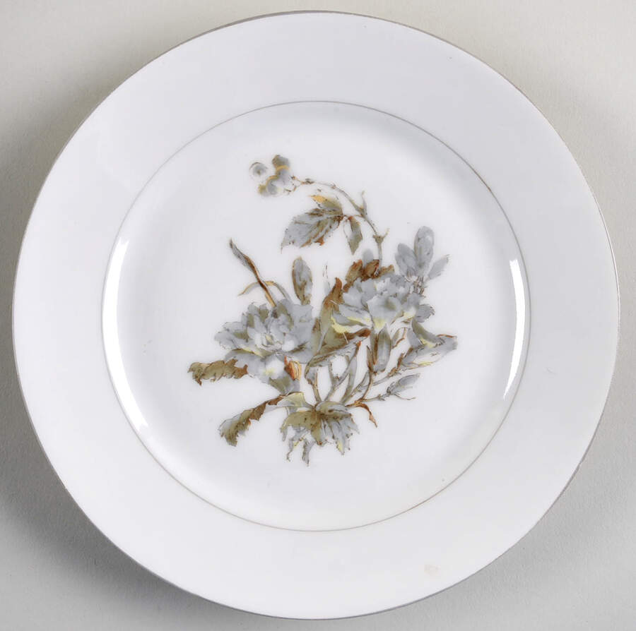 H4254 Salad Plate by Haviland-1