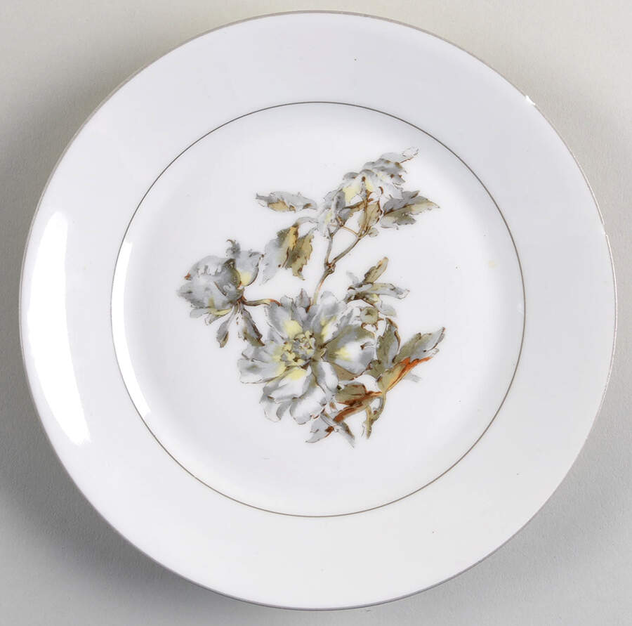 H4254 Salad Plate by Haviland-1