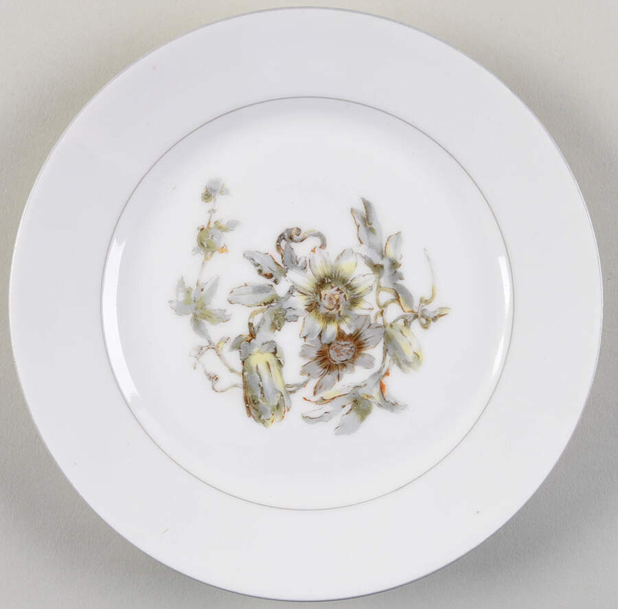 H4254 Salad Plate by Haviland-1