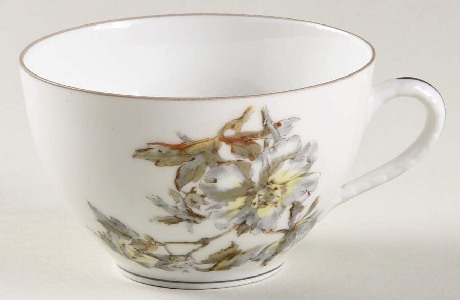H4254 Flat Cup by Haviland-1