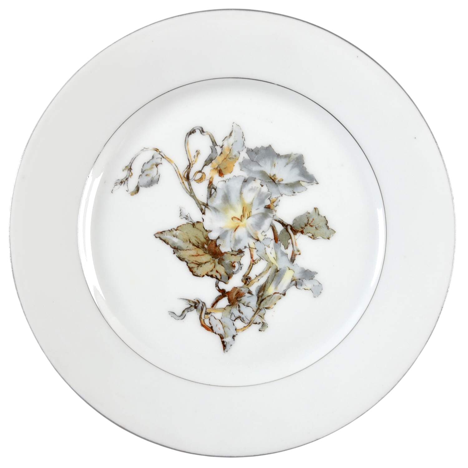 H4254 Salad Plate by Haviland-1