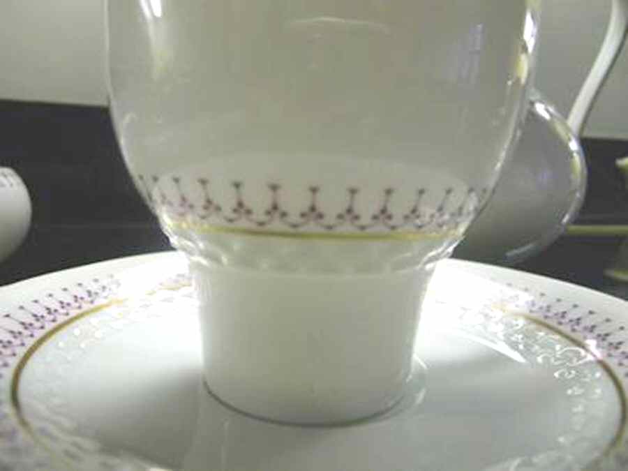 8037 Flat Cup & Saucer Set by Hutschenreuther-1