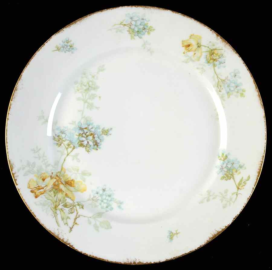 H4339 Dinner Plate by Haviland-1