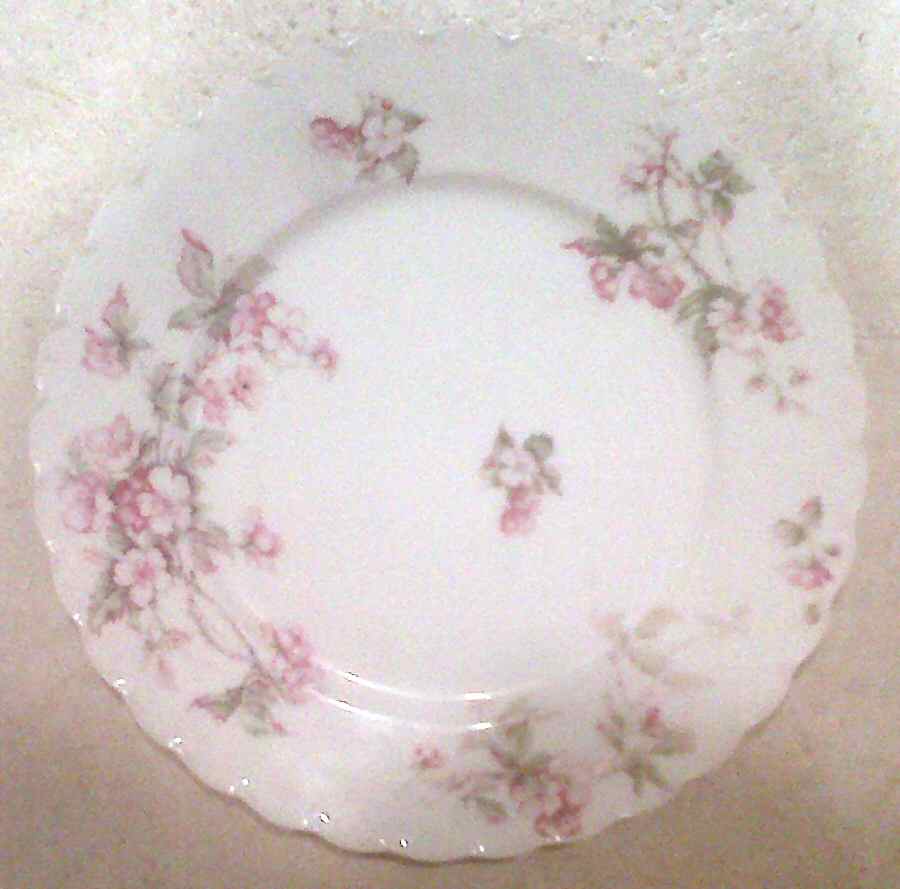 Schleiger 241-4 Salad Plate by Haviland-1