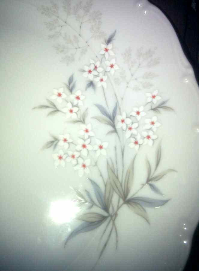 HCZ167 Dinner Plate by Haas-Czjzek Coronado-1