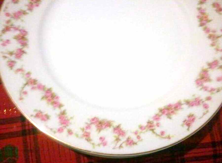 HBU22 Dinner Plate by Hub China-1