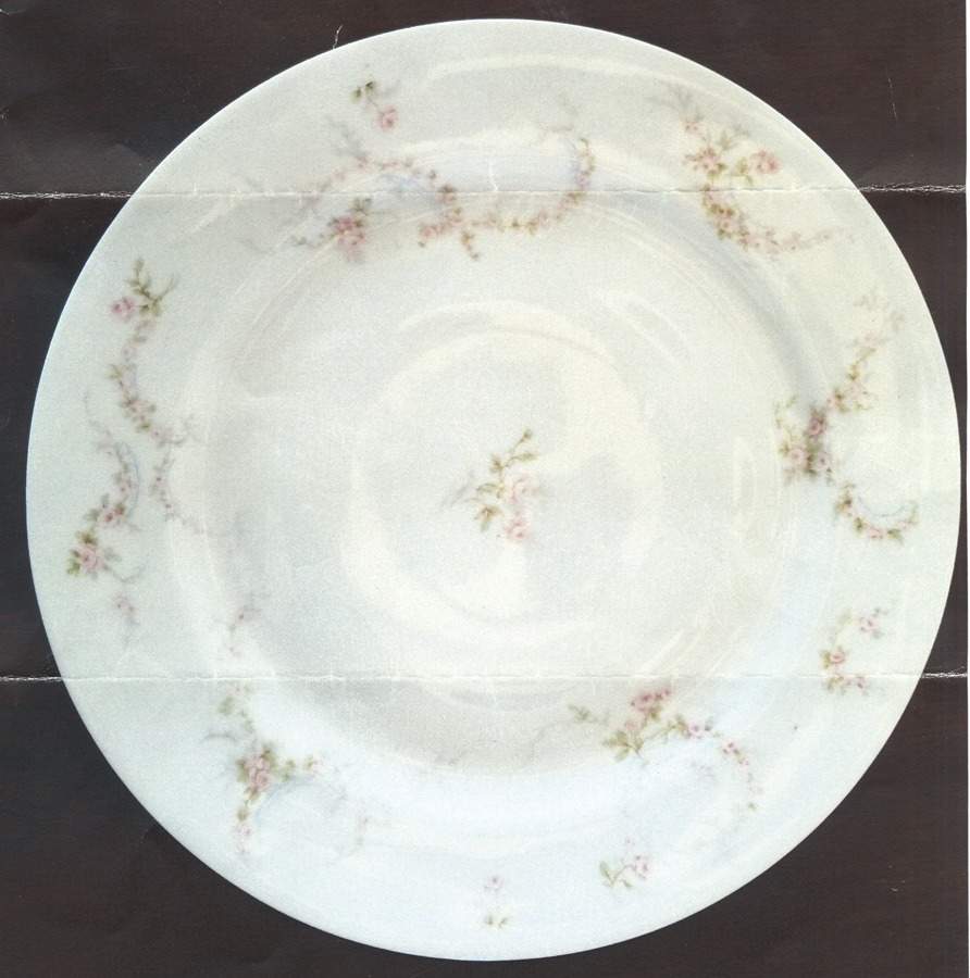 H4261 Dinner Plate by Haviland-1