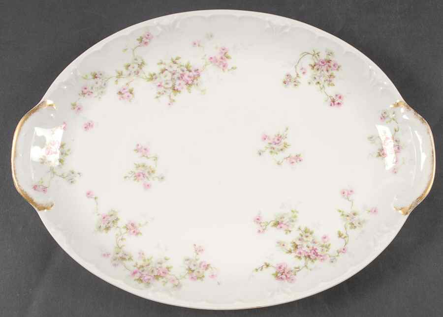Schleiger 320-11 11" Oval Serving Platter by Haviland-1