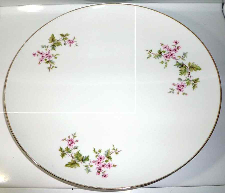 HUT2136 Dinner Plate by Hutschenreuther-1