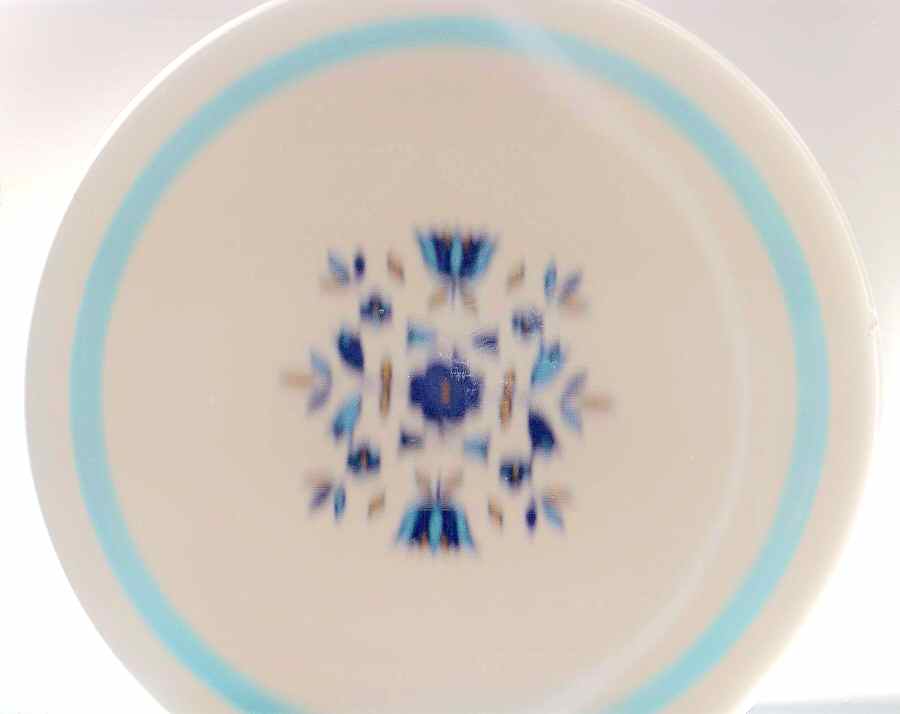 Blue Scandia Dinner Plate by Hara-1