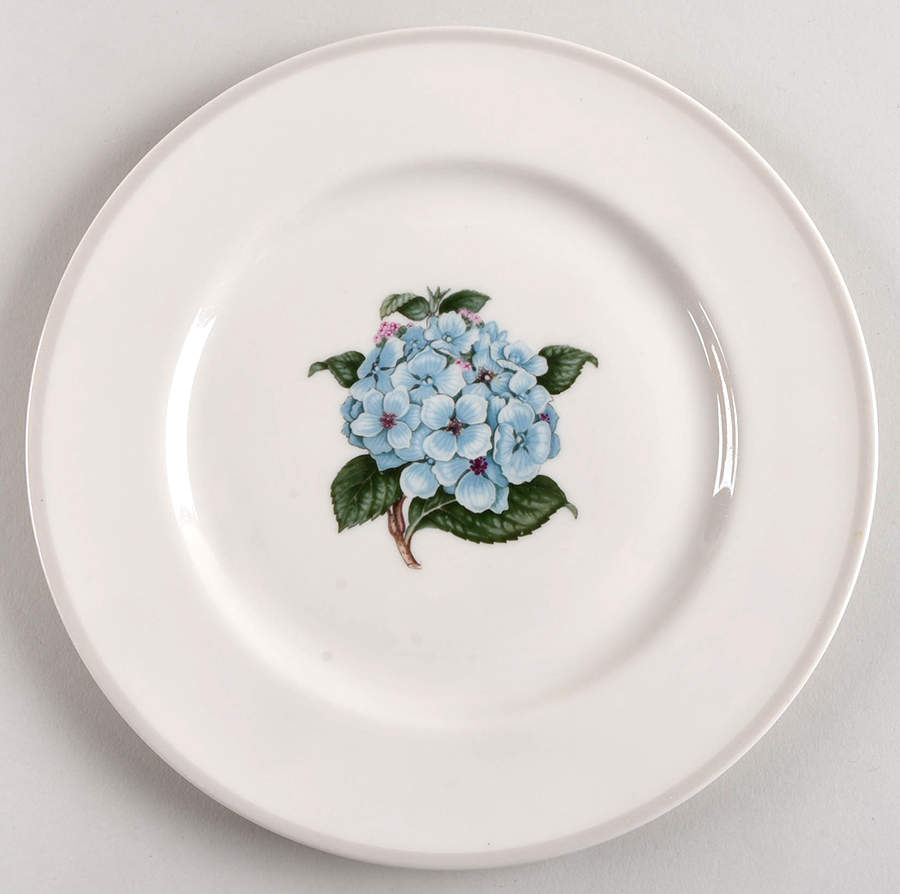 H4265 Luncheon Plate by Haviland-1