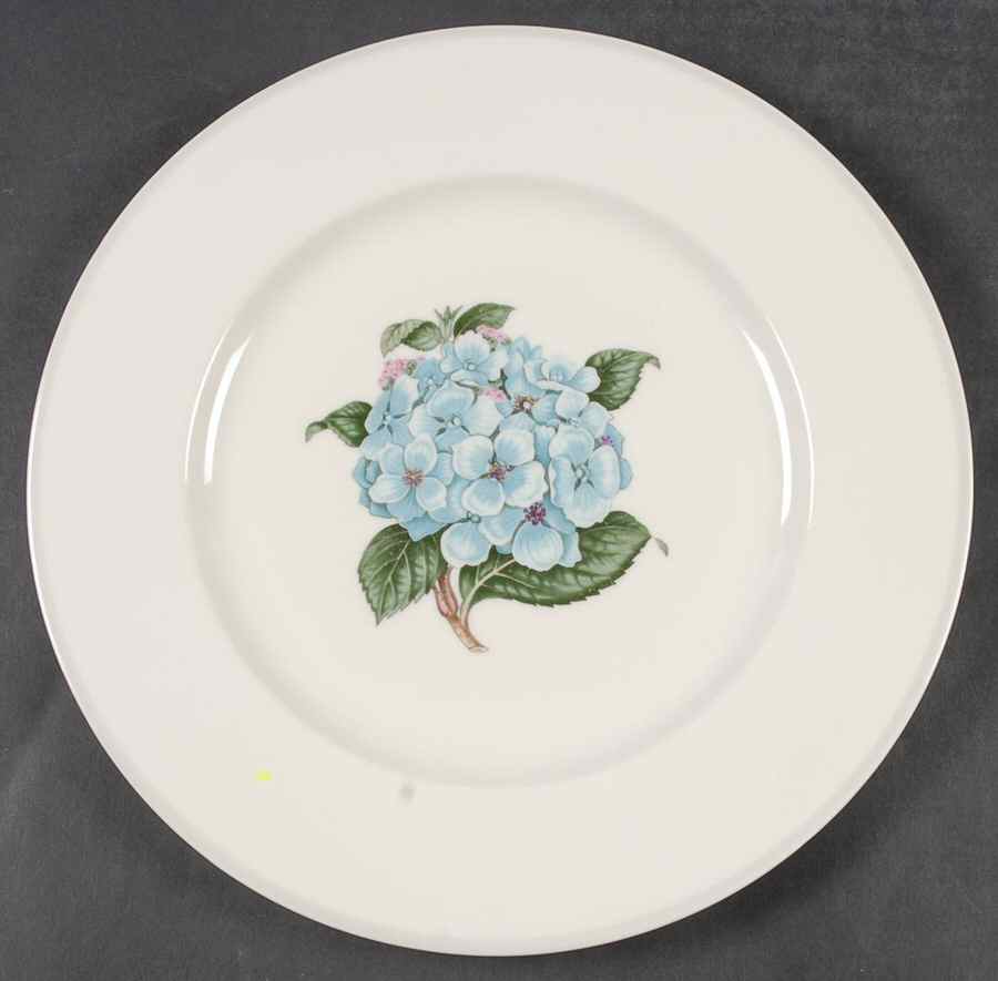 H4265 Dinner Plate by Haviland-1