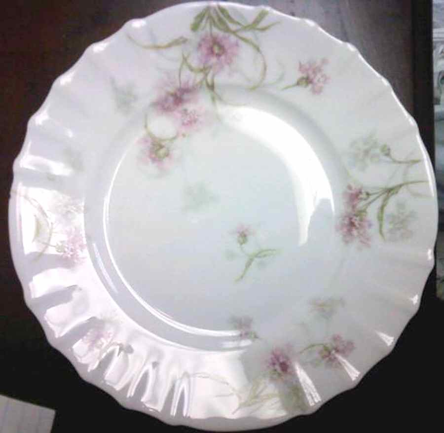Schleiger 1035-11 Dinner Plate by Haviland-1