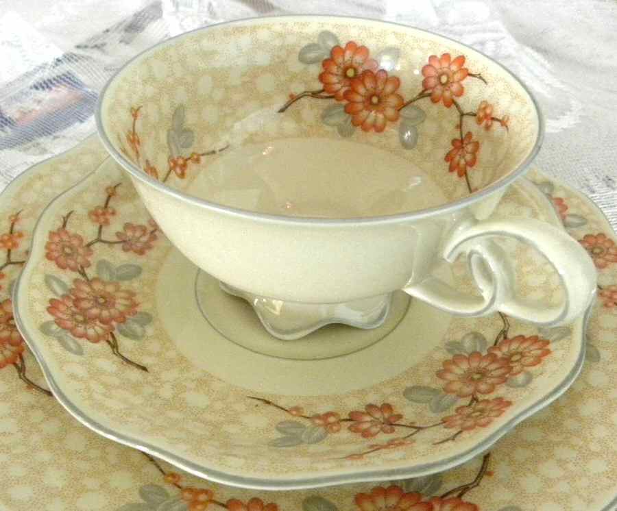HC1273 Footed Cup & Saucer Set by Heinrich - H&C-1