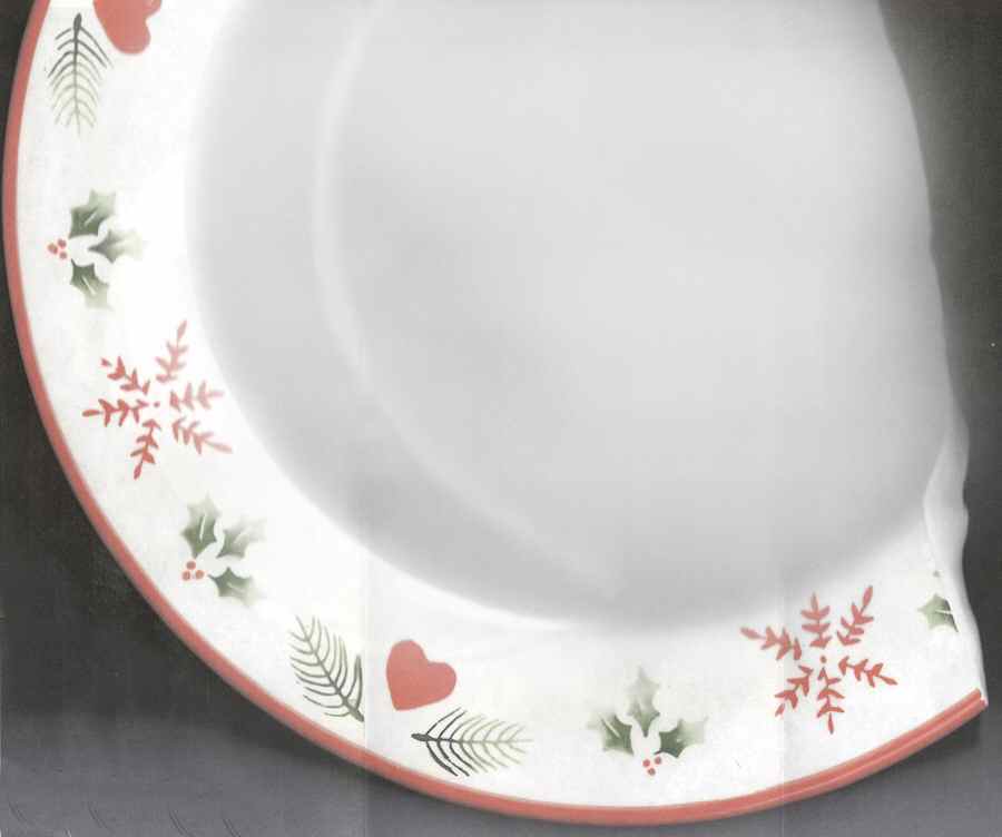HMQ90 Dinner Plate by Home-1