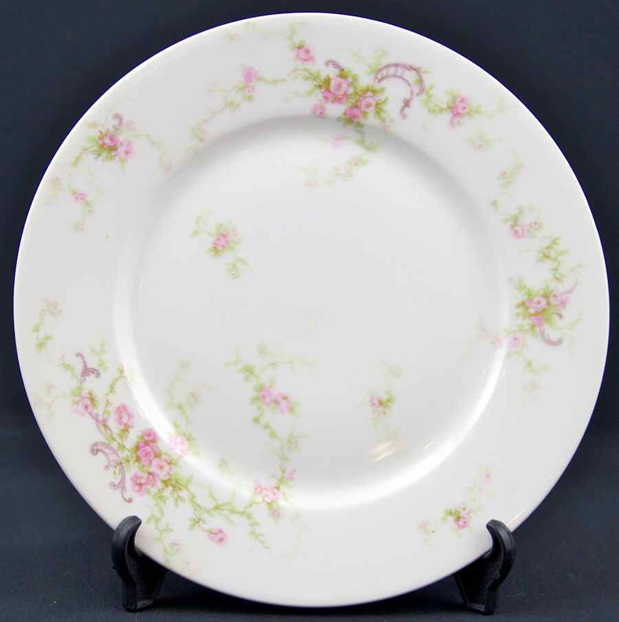 Schleiger 318-12 Dinner Plate by Haviland-1