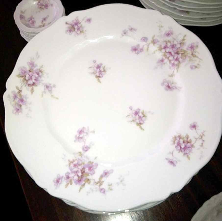Schleiger 162-12 Dinner Plate by Haviland-1