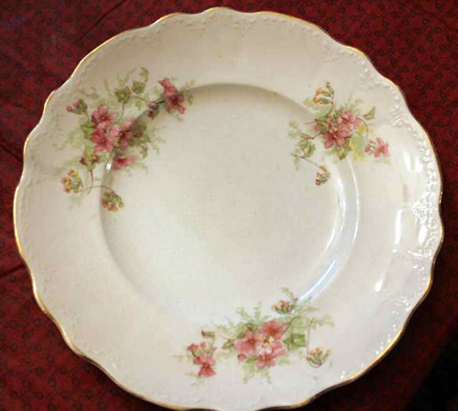 HLC3964 Dinner Plate by Homer Laughlin -1