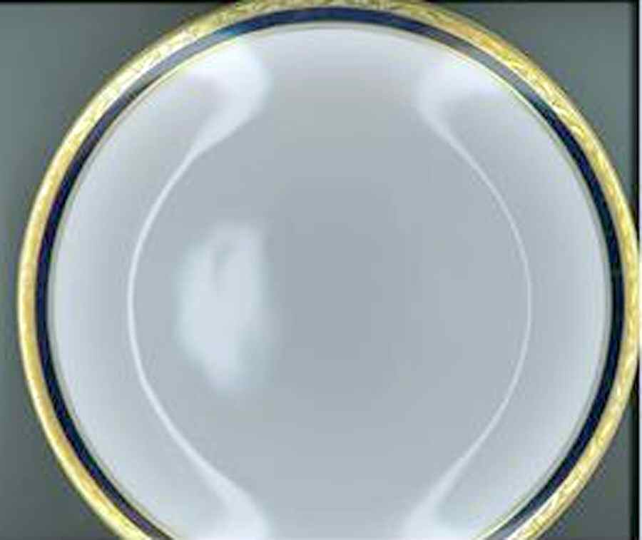 HUT2156 Dinner Plate by Hutschenreuther-1
