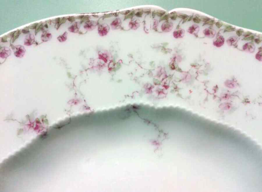 Schleiger 159-5 Dinner Plate by Haviland-1