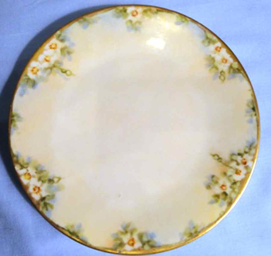 HUT2169 Salad Plate by Hutschenreuther-1
