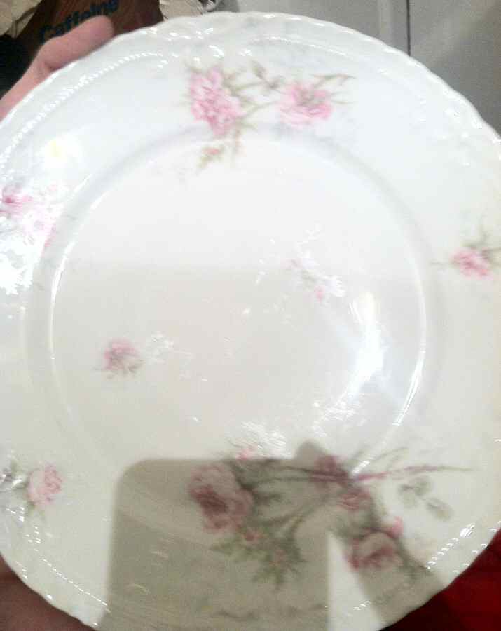 H4392 Dinner Plate by Haviland-1