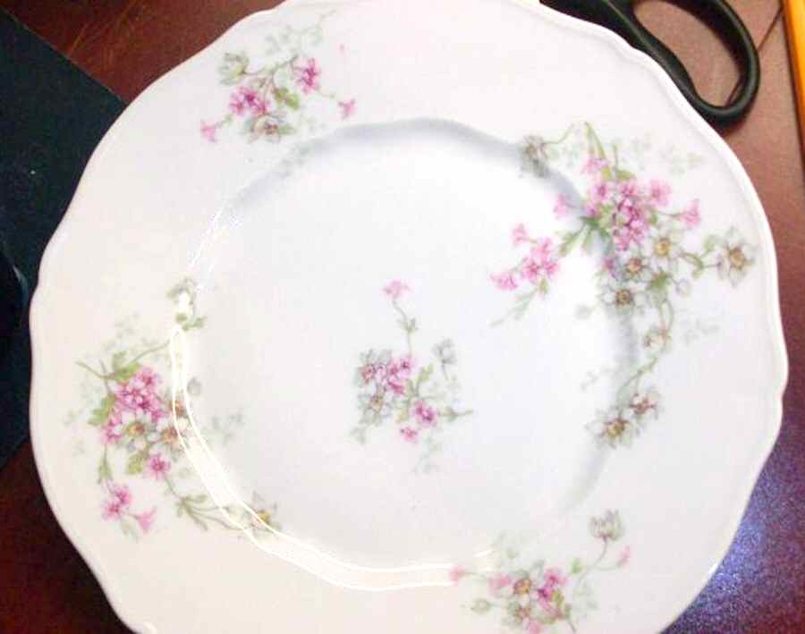 H4441 Dinner Plate by Haviland-1