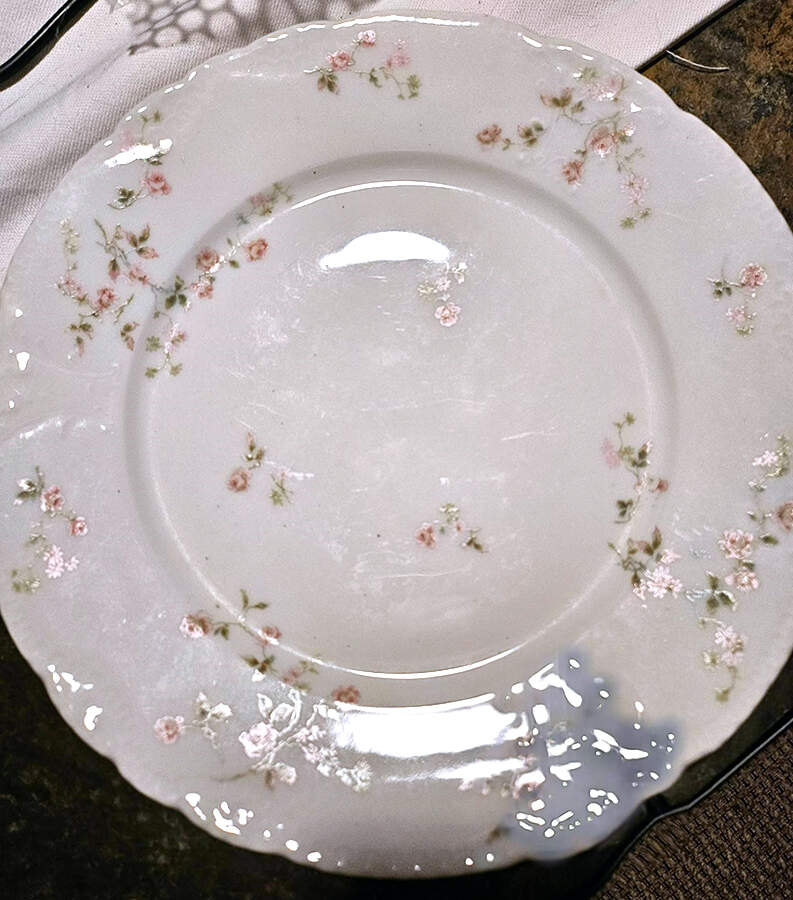 H4396 Dinner Plate by Haviland-1