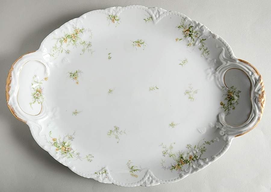 H4403 18" Oval Serving Platter by Haviland-1