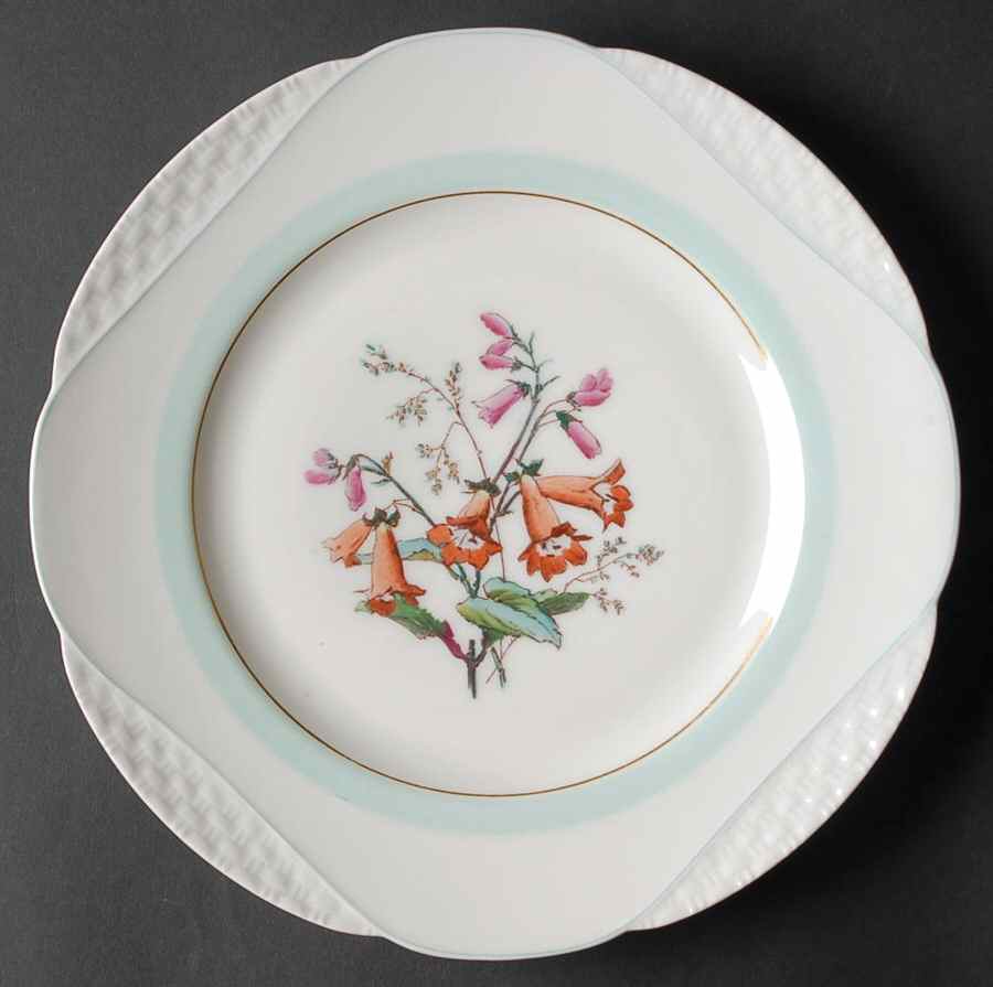 H4405 Dinner Plate by Haviland-1