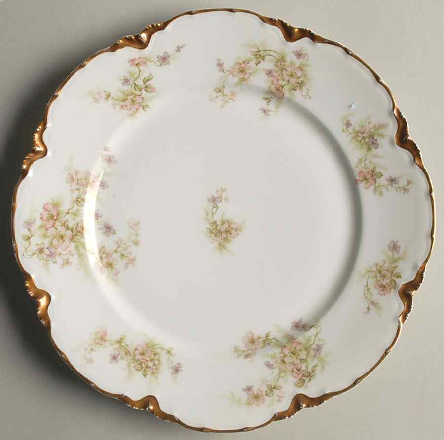 H4451 Dinner Plate by Haviland-1
