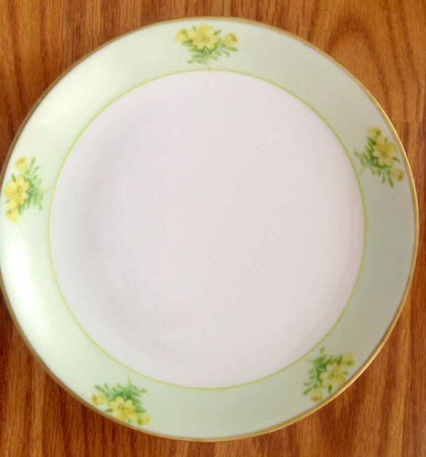 HUT2268 Dinner Plate by Hutschenreuther-1