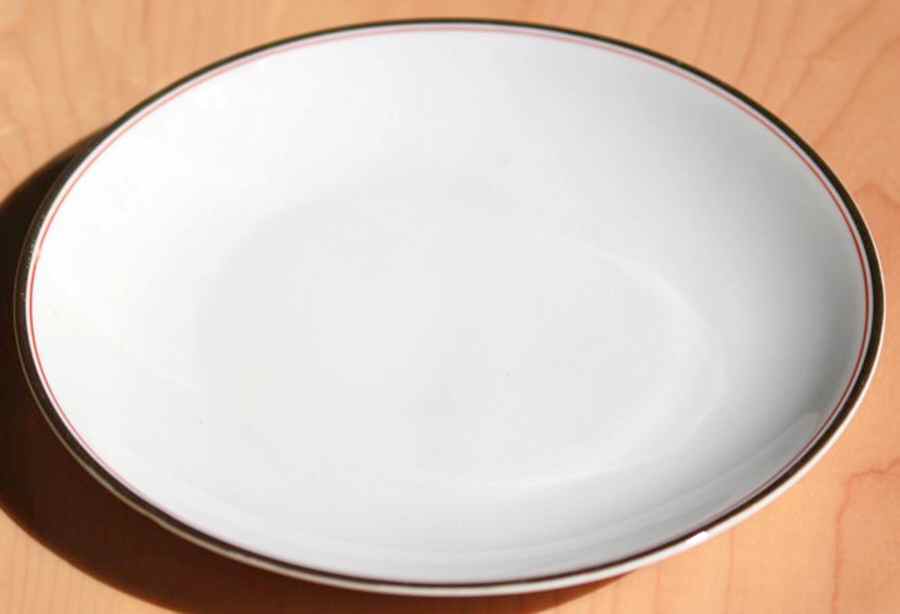 2490 Dinner Plate by Hutschenreuther-1