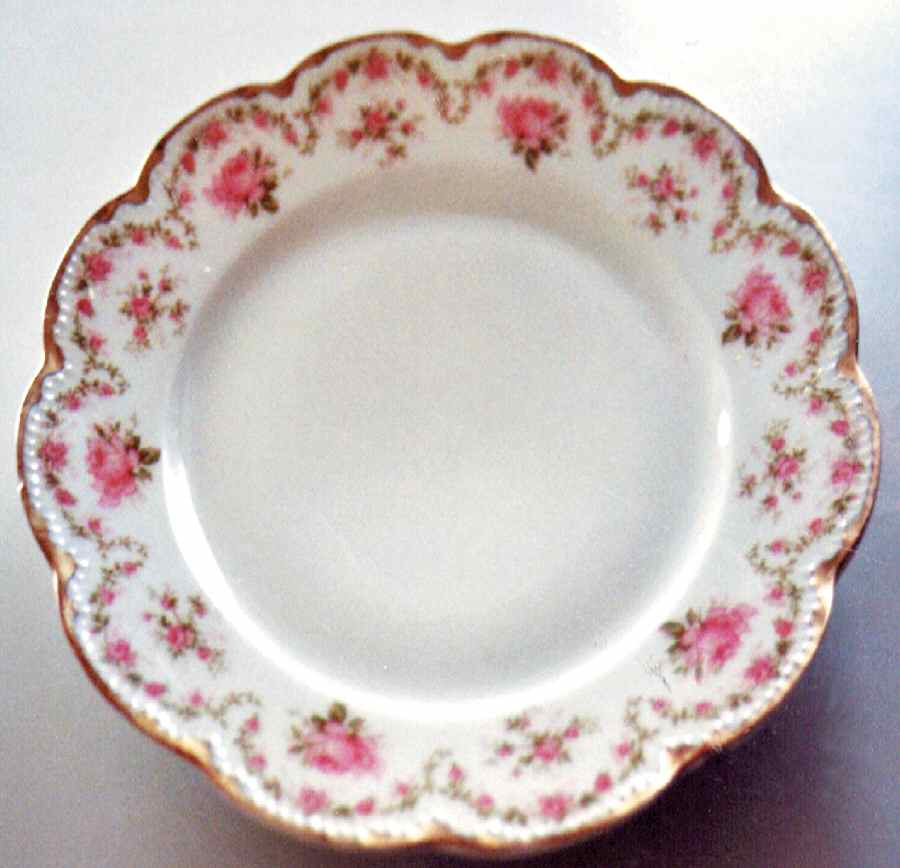 Schleiger 1143-2 Dinner Plate by Haviland-1