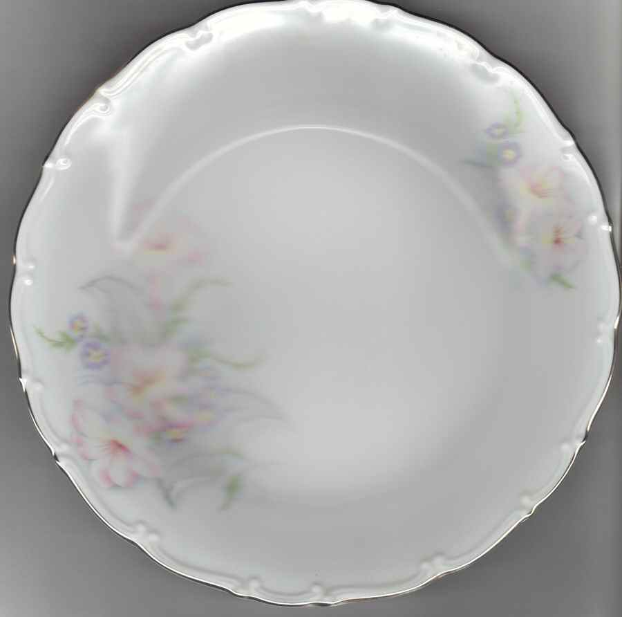 HCZ175 Dinner Plate by Haas-Czjzek Coronado-1