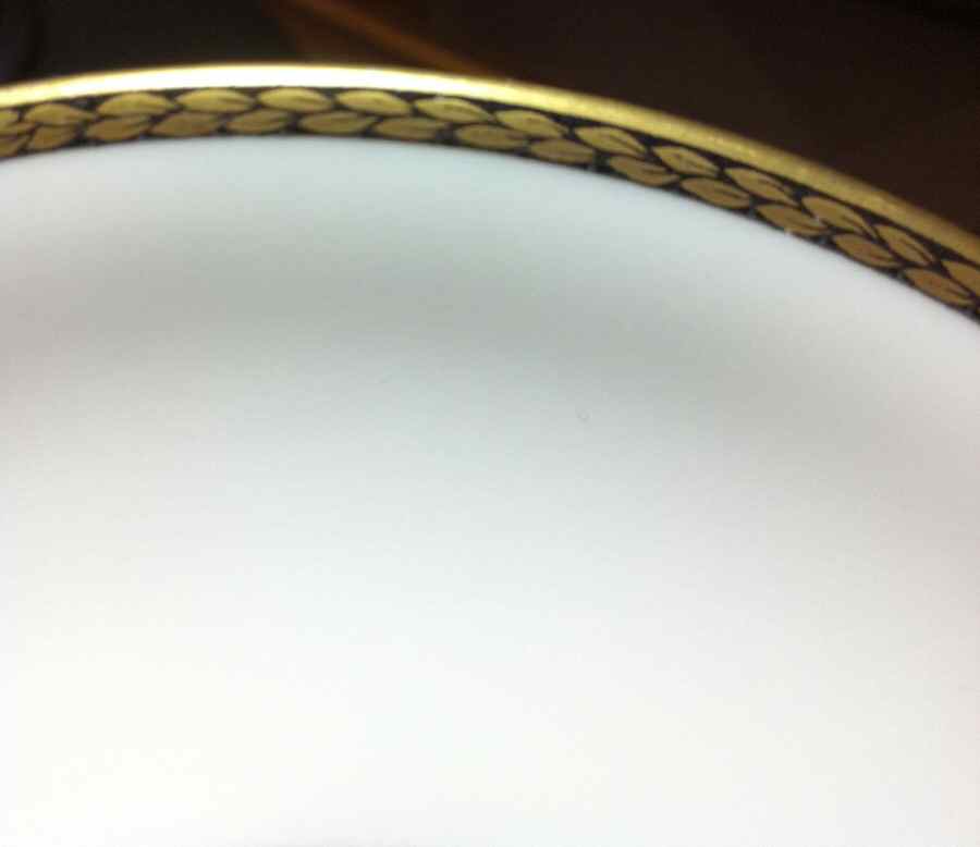 02887 Dinner Plate by Hutschenreuther-1