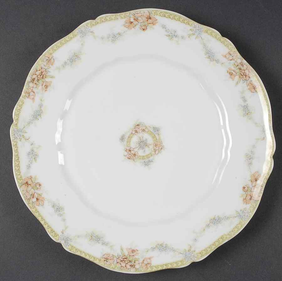 H4466 Dinner Plate by Haviland-1