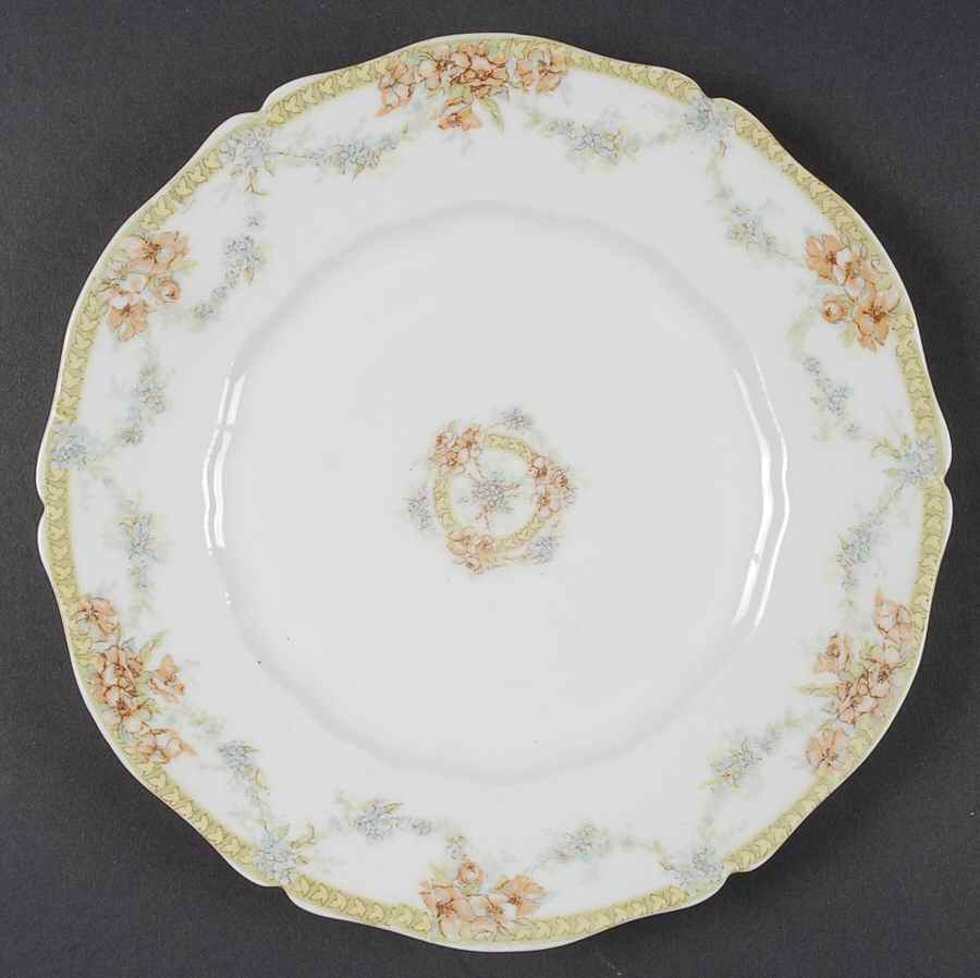 H4466 Luncheon Plate by Haviland-1