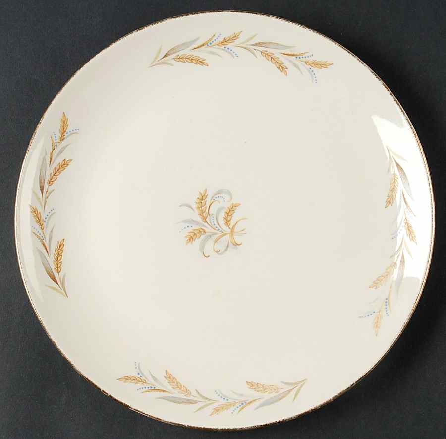 HLC3984 Dinner Plate by Homer Laughlin -1