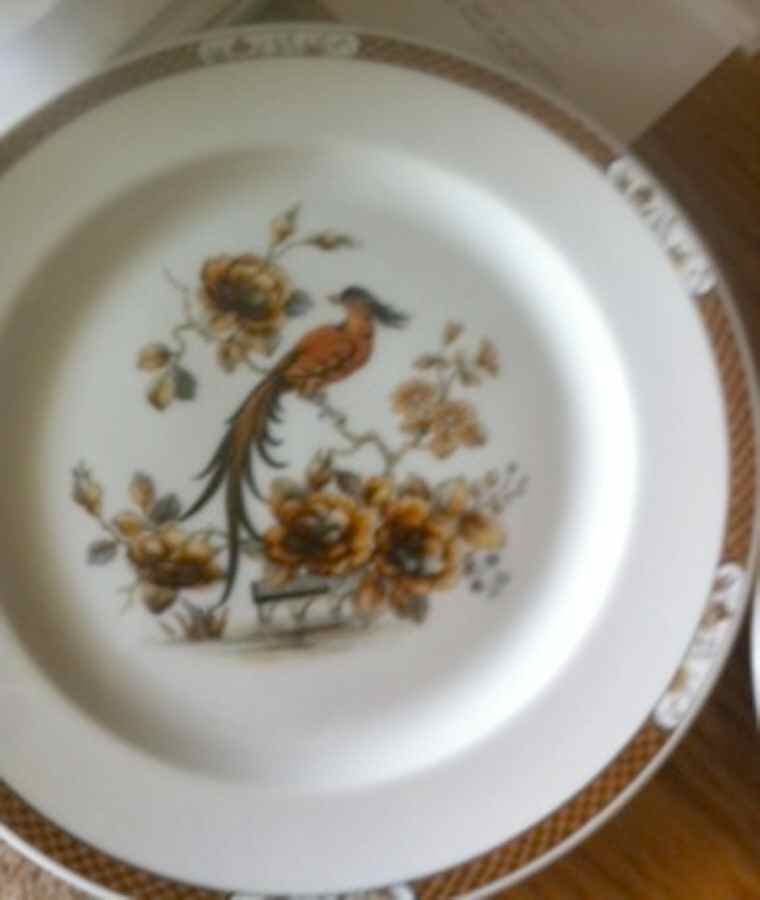 HC1289 Dinner Plate by Heinrich - H&C-1