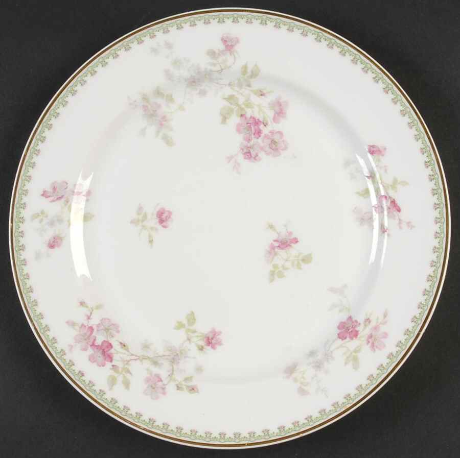 Schleiger 264-4 Dinner Plate by Haviland-1