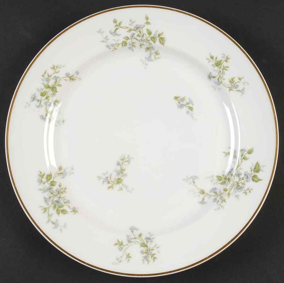 H4478 Dinner Plate by Haviland-1
