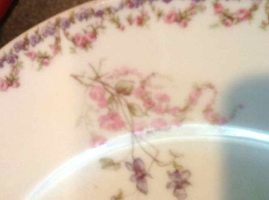 H4480 Dinner Plate by Haviland-1