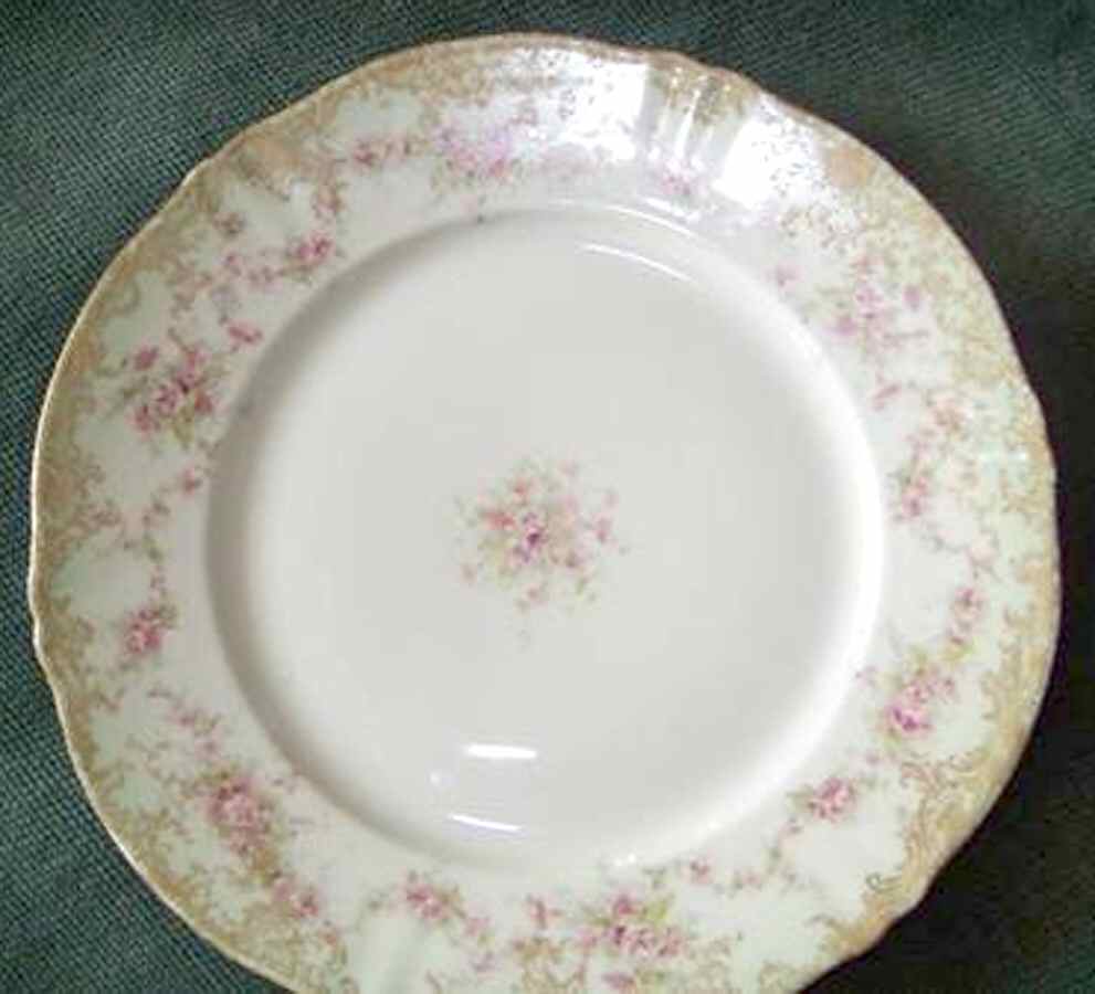 Schleiger 341-10 Dinner Plate by Haviland-1
