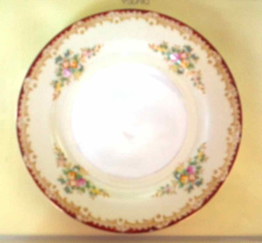 HIR82 Dinner Plate by Hira China-1