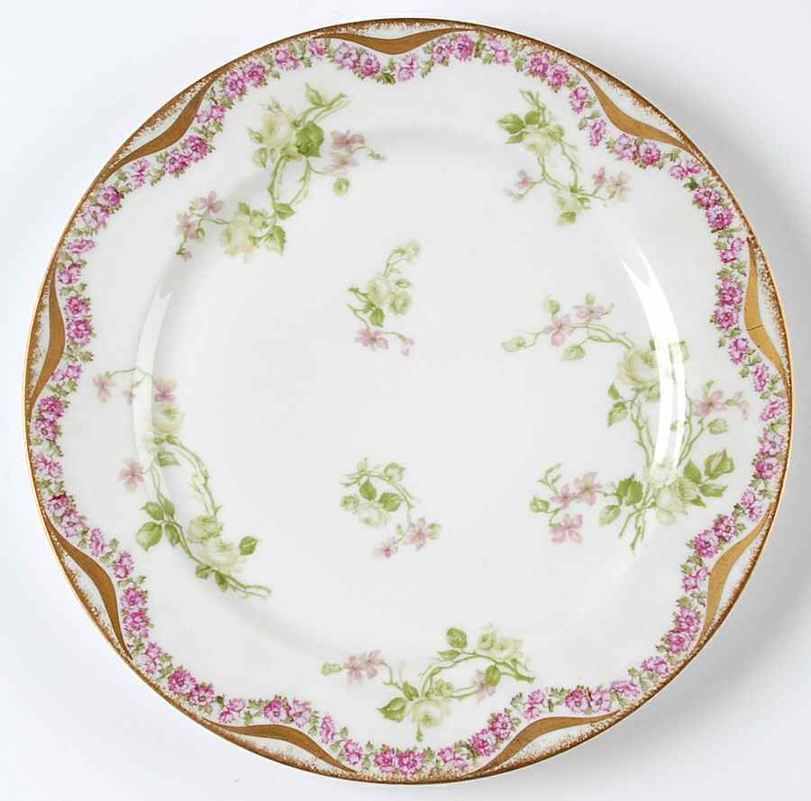 Schleiger 87-5 Dinner Plate by Haviland-1