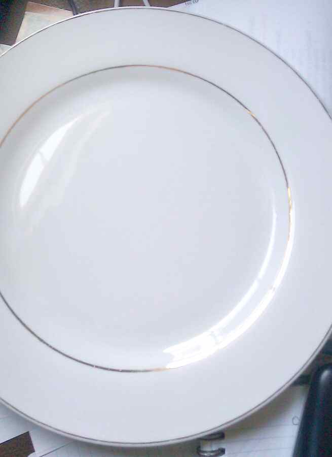 HI5 Dinner Plate by Housewares Intl-1