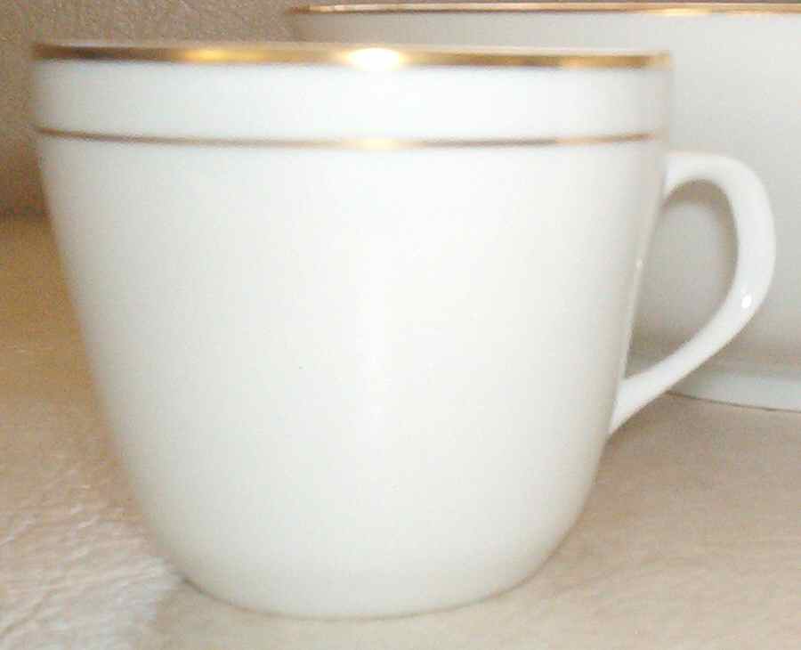 04790 Flat Cup by Hutschenreuther-1