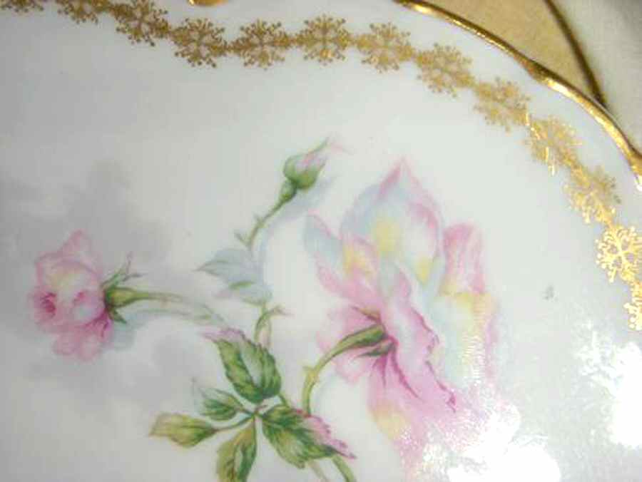 H4285 Dinner Plate by Haviland-1