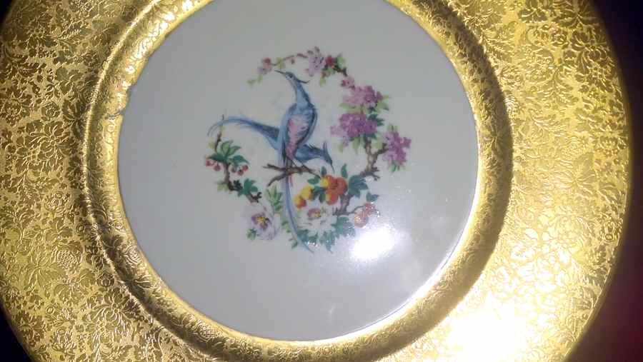 HUT2186 Dinner Plate by Hutschenreuther-1